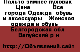 Пальто зимнее пуховик › Цена ­ 2 500 - Все города Одежда, обувь и аксессуары » Женская одежда и обувь   . Белгородская обл.,Валуйский р-н